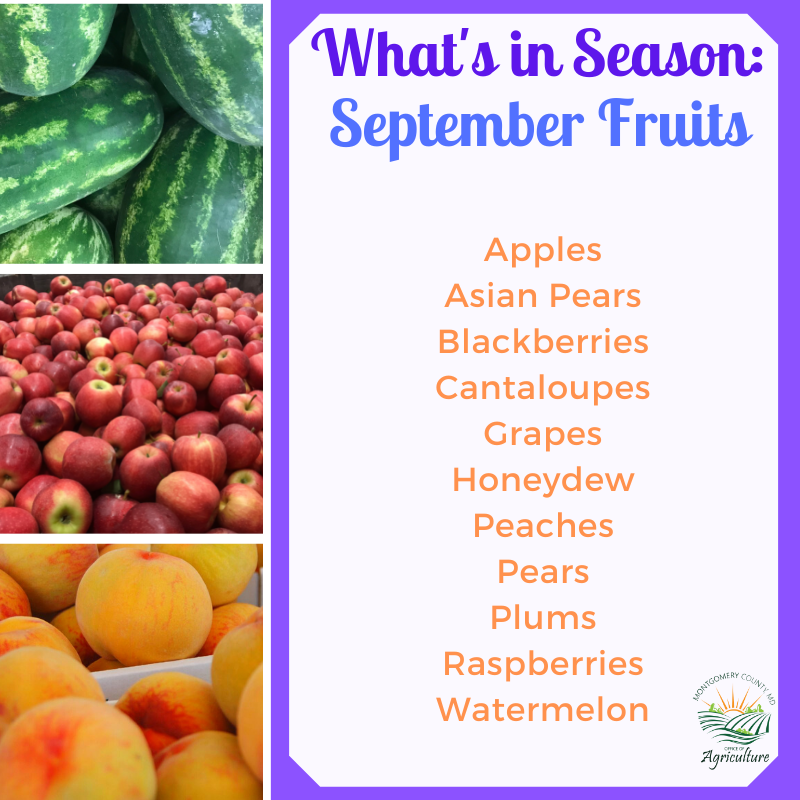 Find cantaloupes, peaches, plums, and other seasonal September fruits at your local farmer’s market this month!