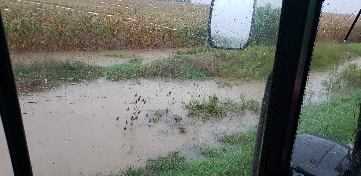 5.8" of rain since Tuesday night, busses canceled due to flooding, I think that's more then enough moisture for the wheat planted.