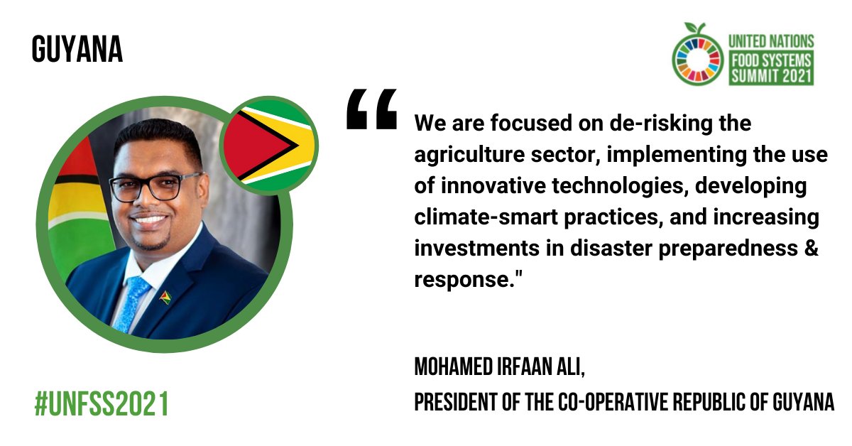 Guyana's commitment to transforming their food systems! #UNFSS2021 @DrMohamedIrfaa1 @mfaguyana @DPI_Guyana @UNGuyana