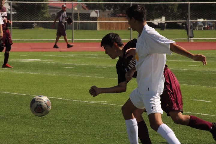 AHSSportsMedia's tweet photo. Come support the AHS boys soccer team tonight at senior night, at 6:00 pm. https://t.co/TXT5n29pQX