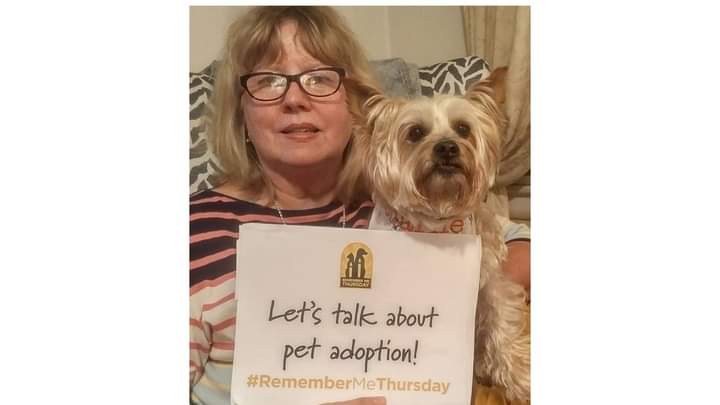 EAFREESE's tweet photo. Saint Francis of Assisi-
“All of the darkness in the world cannot extinguish the light of a single candle.”
#RememberMeThursday is a day to #SeeTheLight for a better future for all homeless pets #RememberTheRescue #ShineALight @HWAC https://t.co/9xIaL06RKH