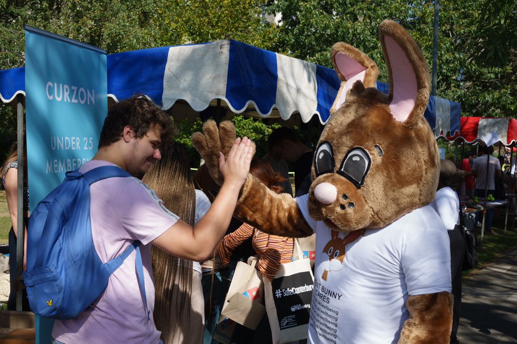 KENT BUNNY tweet media