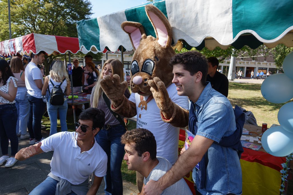 KENT BUNNY tweet media