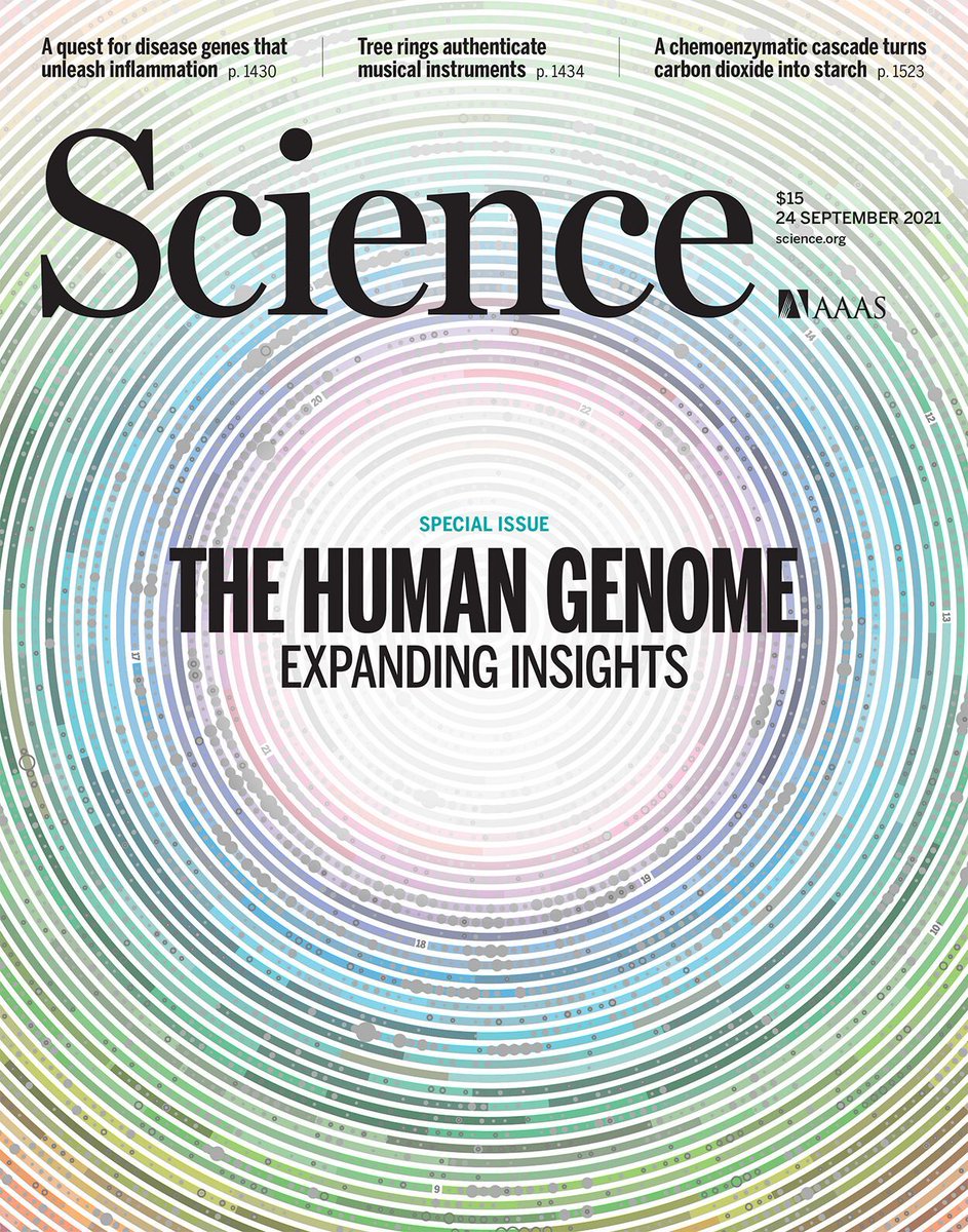 ScienceMagazine's tweet photo. On this week's cover, a visualization shows #TheHumanGenome as a spiral, with a scale of 1 million bases per centimeter. 

The special issue explores lessons from past studies of human genomics, with an eye toward future research efforts. Take a look ➡ https://t.co/KlhnzWvHXa https://t.co/uqNjlZuIJc