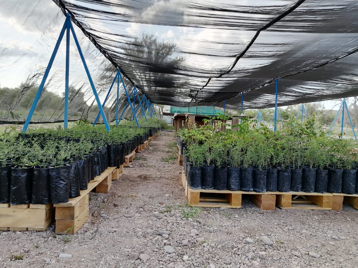 Nat5coin's tweet photo. Buy Nat5 tokens and witness real actions like trees being planted and ecosystems being restored. Sell services and carbon assets to industries and individuals, safely and profitably.
https://t.co/aZKIlQRndh
#natcoin #nat5token #ico #icotoken #cryptocurrency #cryptotokens https://t.co/vHYB1OCjX5