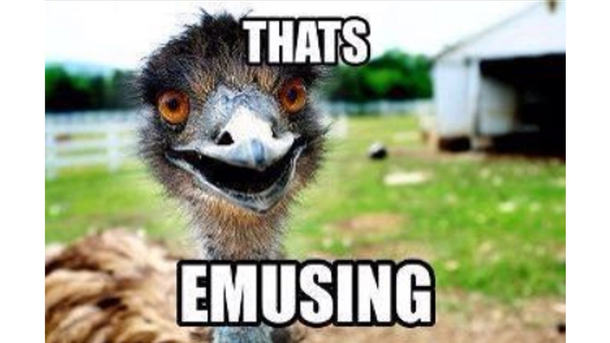 Austin Kellerman tweet media