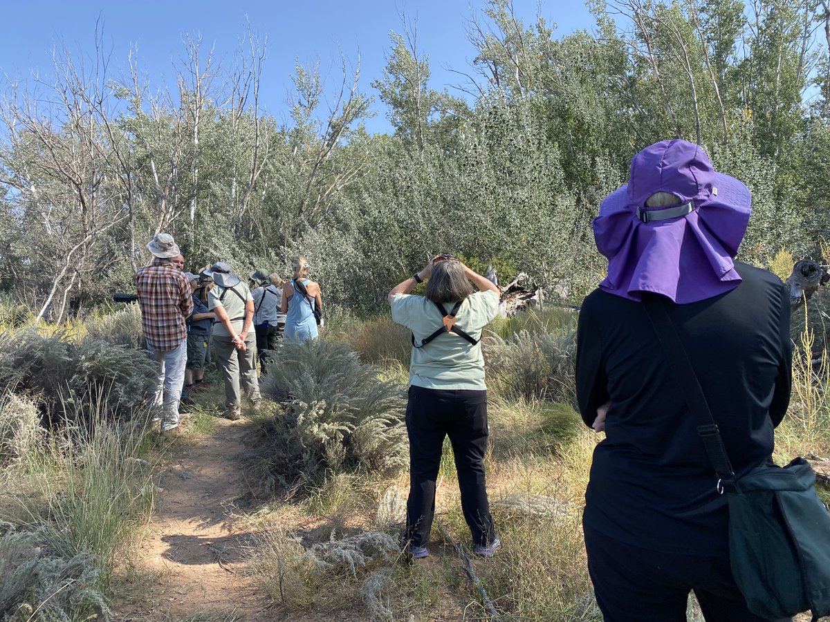 NMLandOffice's tweet photo. Assistant Commissioner Angie Poss recently joined the @CenNMAudubon and @audubonsw for the dedication ceremony of Melrose Woods Important Bird Area!
#OpenForAdventure #birding #nmtrue https://t.co/HGx0qksENW