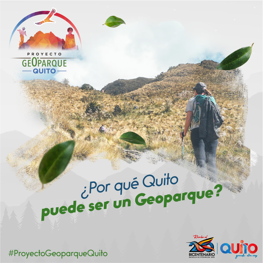 MunicipioQuito's tweet photo. PARAÍSO NATURAL
Nuestro noroccidente es incomparable. 
El Chocó Andino registra:
✅140 especies de anfibios🐸, 
✅270 de mamíferos y 
✅3200 plantas🌱,
 Esta zona forma parte de la Red Mundial de Reservas de Biósfera. 👏
#ProyectoGeoparqueQuito https://t.co/Ui5h7Xb3Ea