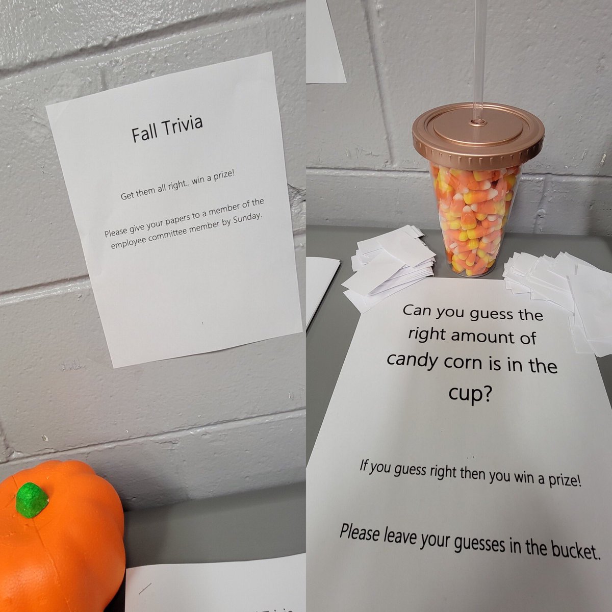 Sarah KeatingSeamans tweet media