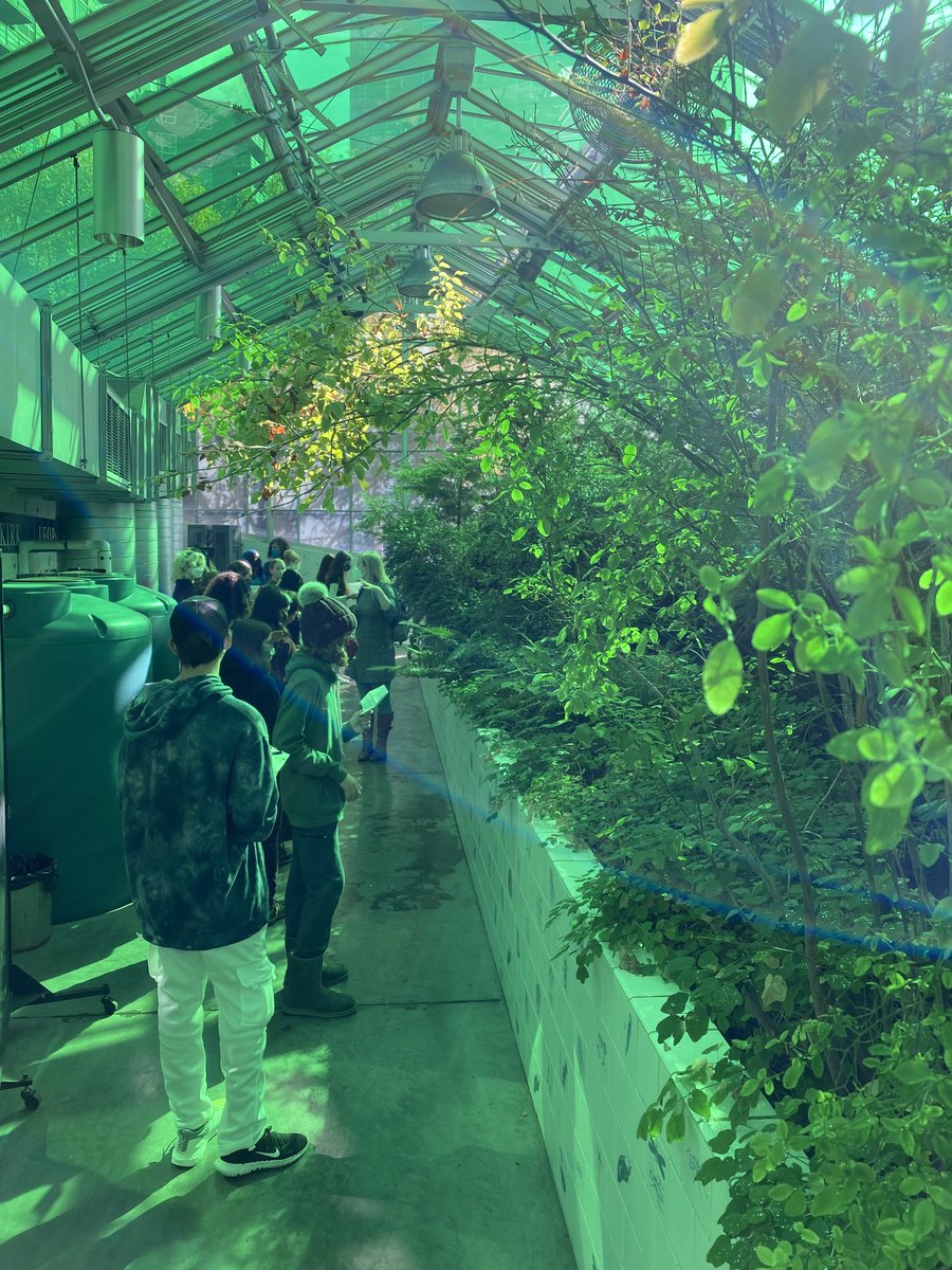 Enjoyed visiting the ⁦<a href="/iheartSAM/">SAM</a>⁩ Sculpture Park with ⁦@DTSchoolSeattle⁩ Biology classes along with ⁦@KelseyDTS⁩. A Western Hemlock nurse log in the middle of the city is a true work of natural art!