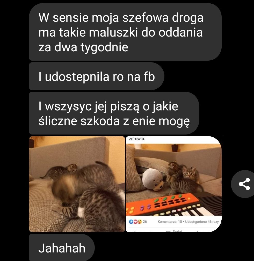 felixs_fairy's tweet photo. chlopaki bo jest sytuacja, ze kotki potrzebują domu, nie chciałby ktoś przygarnąć?
Siemianowice Śląskie i okolice

jak nie chcecie, to prosiłabym o rt https://t.co/jjmloYnFiO