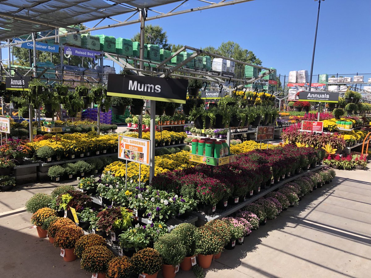 Donna Davis (@ddavis_m) on Twitter photo The very best in “all things fall” at THD Madison, AL! <a href="/misshd03/">Megan A. Coleman</a> <a href="/freddyplants/">Fplants</a> <a href="/GriffinAgriffin/">Alphonso Griffin</a> <a href="/Stephen_E_Camp/">Stephen Camp</a> <a href="/MetrolinaGHS/">MetrolinaGreenhouses</a> @PPSinHD The very best in “all things fall” at THD Madison, AL! <a href="/misshd03/">Megan A. Coleman</a> <a href="/freddyplants/">Fplants</a> <a href="/GriffinAgriffin/">Alphonso Griffin</a> <a href="/Stephen_E_Camp/">Stephen Camp</a> <a href="/MetrolinaGHS/">MetrolinaGreenhouses</a> @PPSinHD
