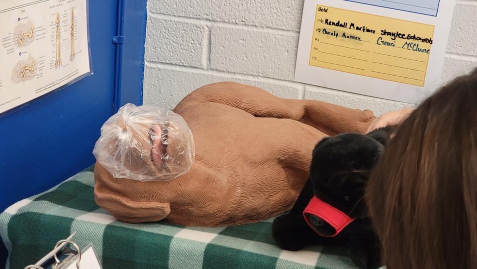 CCMS students in Mrs. Katzenberger's CTE/Careers class are learning about veterinary medicine, construction, drone technology, video production, energy, and more.Students explore different modules, that are linked to the high school so the learning continues. <a href="/PaxPatLearning/">Paxton/Patterson - College & Career Ready Labs</a>