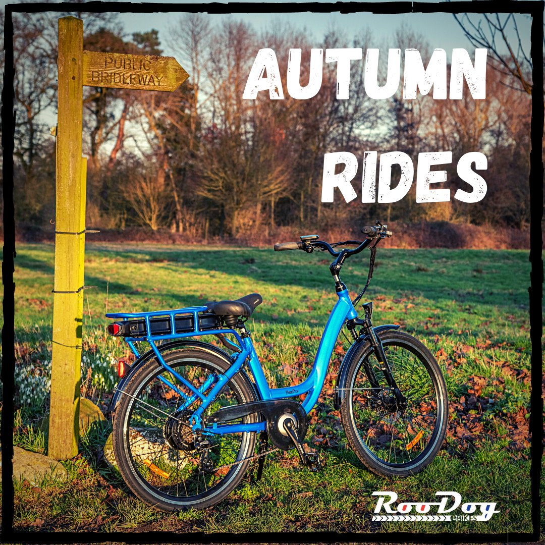 RooDogEbikes's tweet photo. We love getting out on our bikes in the crisp Autumn weather.
.
Where do you go on your RooDog at this time of year? 
.
#autumnbikerides #crispdays #roodog #ebikelifestyle https://t.co/79fVaf6wOA