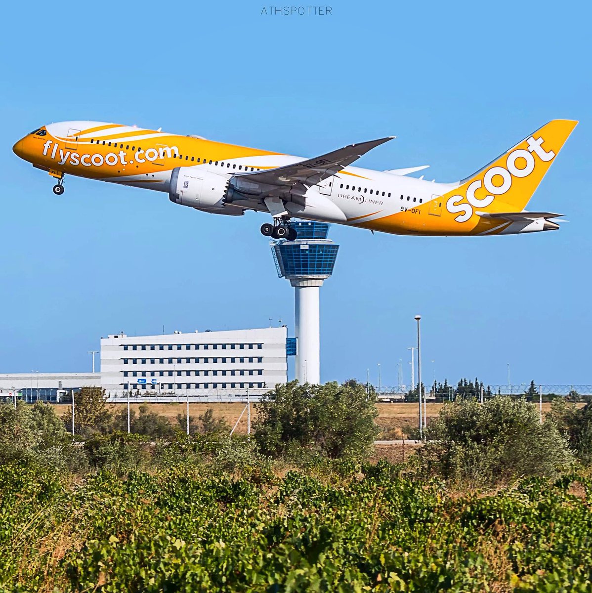athspotter's tweet photo. Fly Scoot💛 Boeing 787 Dreamliner!
🇬🇷🛫🛬🇸🇬
-
@flyscoot @Boeing @ATH_airport 
#9VOFI #boeing787 #flyscoot #scoot #b787 #boeing #aircraft #ath #lgav #airplane #airport #aviation #departure #b788 #boeing788 #runway #avgeek #takeoff #elvenizelos #athensairport #v1rotate #wingflex https://t.co/71RCyjadA3