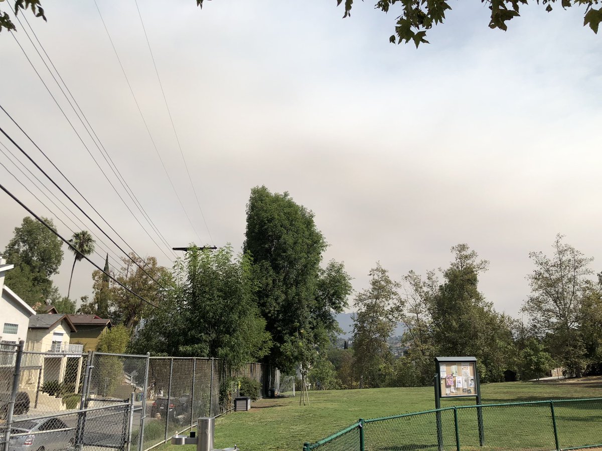 ABC7Jory tweet picture