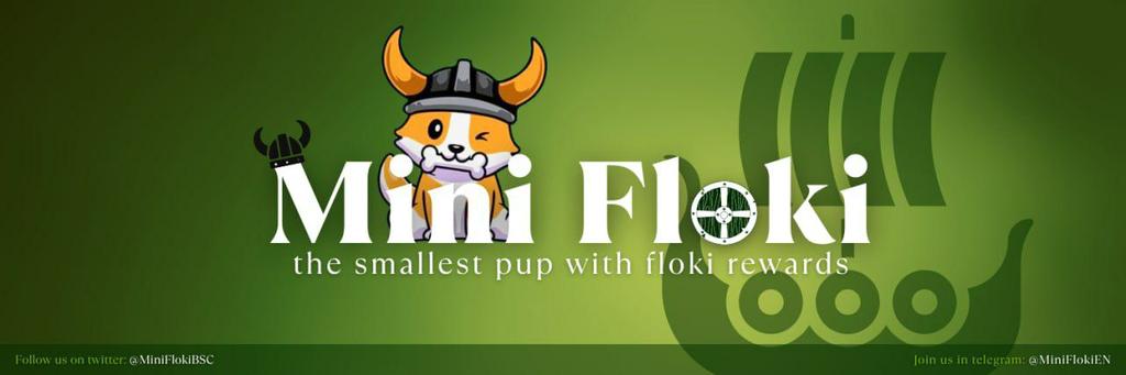 HodlSbd's tweet photo. @BaronDavis #Flokiswap https://t.co/Na5qRkfaJH