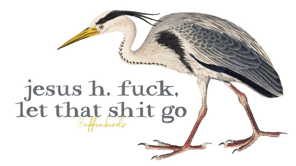 EffinBirds's tweet photo. https://t.co/7VwPRsn2wE