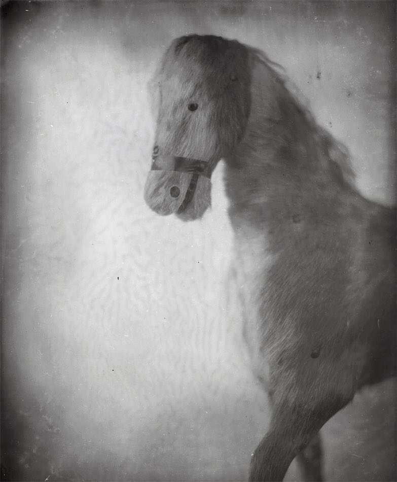 ModernTintype's tweet photo. Shot some VERY expired #film a couple of days ago — actually an antique 8x10” dry plate (glass negative) from an unused pack I found. Guessed wildly at the exposure but I got an image on the first try! #expiredfilm #dryplate #analog #antiquephotography https://t.co/LOZrpuqfSS