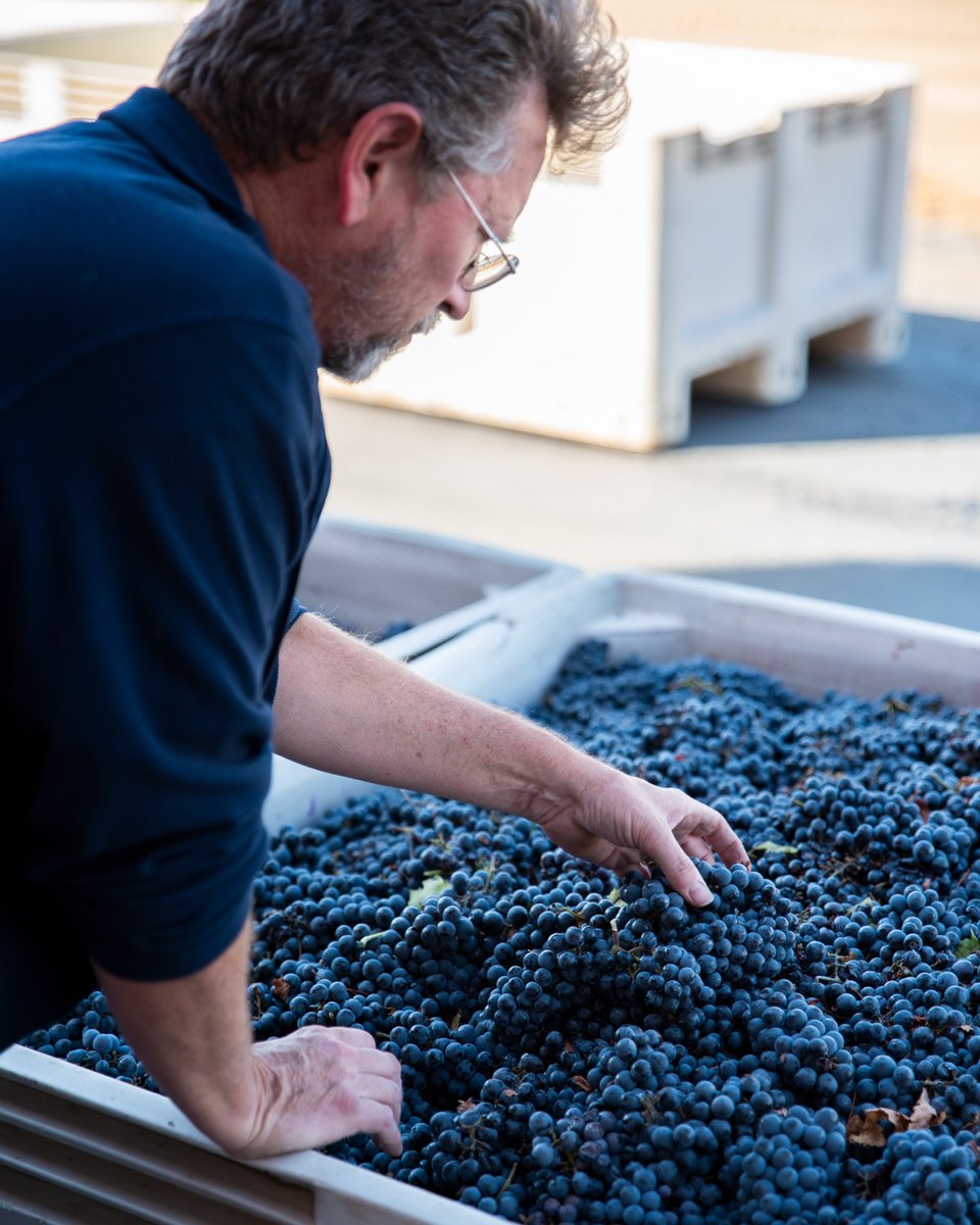 As we continue to celebrate California Wine Month, we want to recognize our staff here at Quady Winery. We are fortunate to have an amazing crew of individuals who love to work hard making sweet wine, even in the toughest conditions. Cheers to our crew and delicious Quady wine!