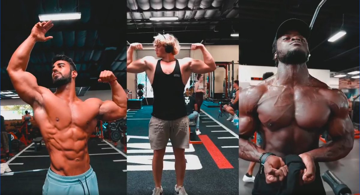 GymMolly's tweet photo. Team Gym Molly at the Zoo 💪💪💪 Come workout with Men’s Physique competitors IG: @jermainegadsden_ @seandicksonn @mardingevargiz #tbtsummer #zooculture https://t.co/yQXVLrZAnT https://t.co/FrhqIn6sBW