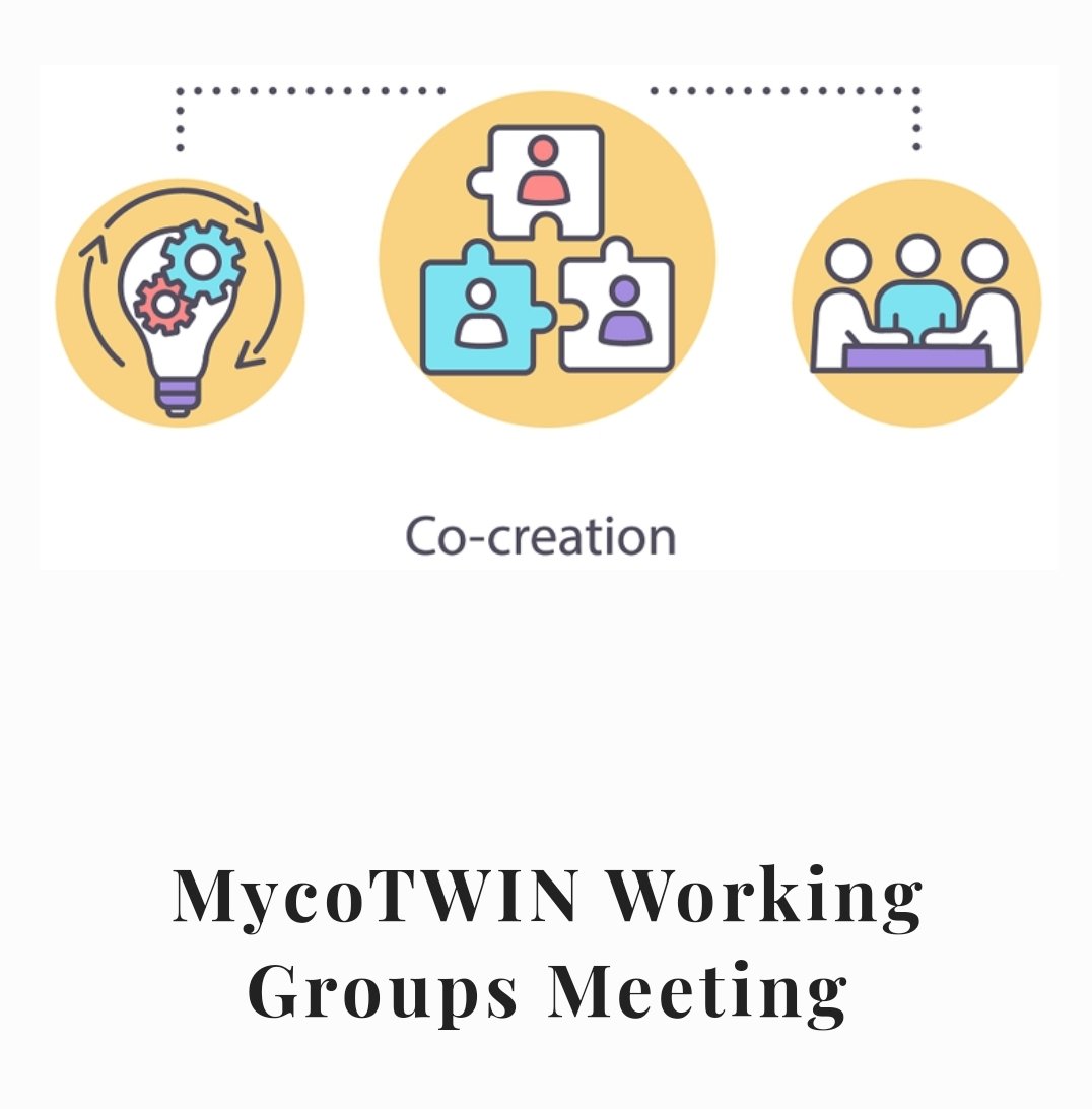 MycoTwin's tweet photo. 1st Working Group Meeting of @MycoTwin.
We discussed future of food safety in Europe, how to prepare and manage EU projects with a spesific focus on Horizon Europe. A joint organisation of @MycoTwin and @fs4eu 
Subscribe to https://t.co/2dZFsTLPRi to keep updated on the project. https://t.co/Hd9UkvyEJJ