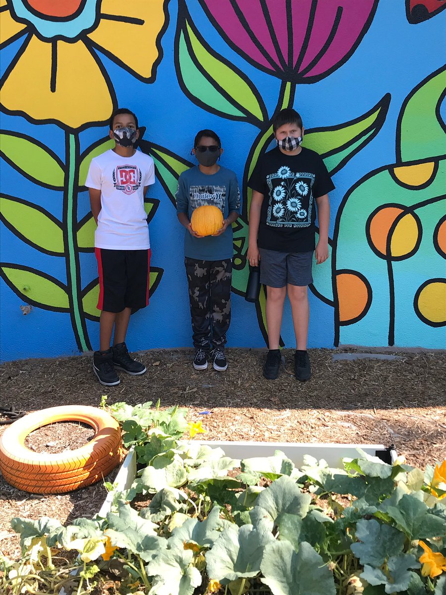 ssdPRIDE's tweet photo. Our junior high students love “growing” everyday! https://t.co/RsetrhGf4K