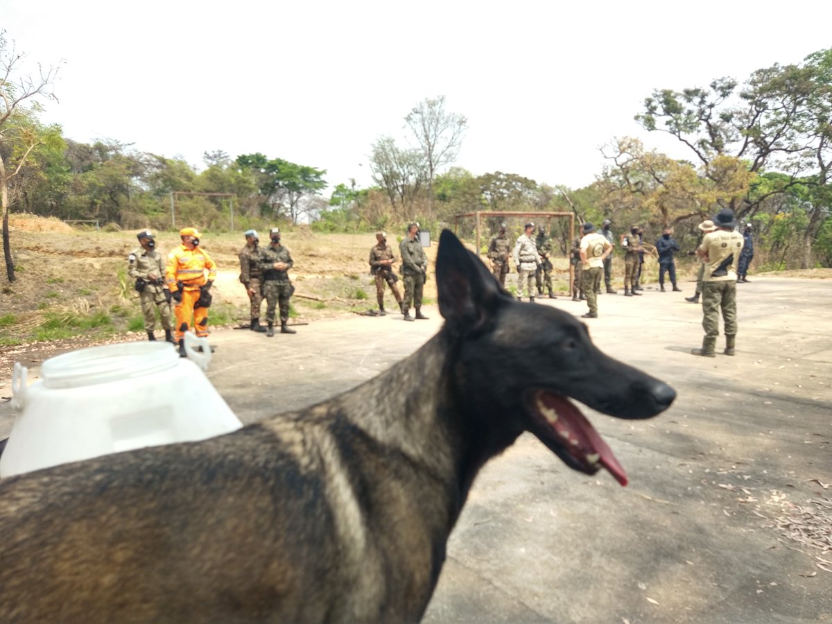GuardaContagem's tweet image. Guarda Civil de Contagem faz estágio de adestrador de Cães de Guerra no Exército
contagem.mg.gov.br/novoportal/gua…
Jornalista: Leonardo Rocha
Crédito Foto: Leonardo Rocha
Instagram: @Leomoreirarocha