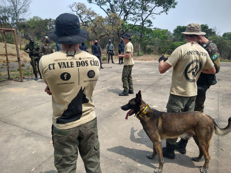 GuardaContagem's tweet image. Guarda Civil de Contagem faz estágio de adestrador de Cães de Guerra no Exército
contagem.mg.gov.br/novoportal/gua…
Jornalista: Leonardo Rocha
Crédito Foto: Leonardo Rocha
Instagram: @Leomoreirarocha