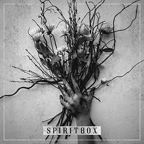 What's new(ish) in music? I really like Spiritbox. They've got that Fear Factory calm/storm sound down well.
