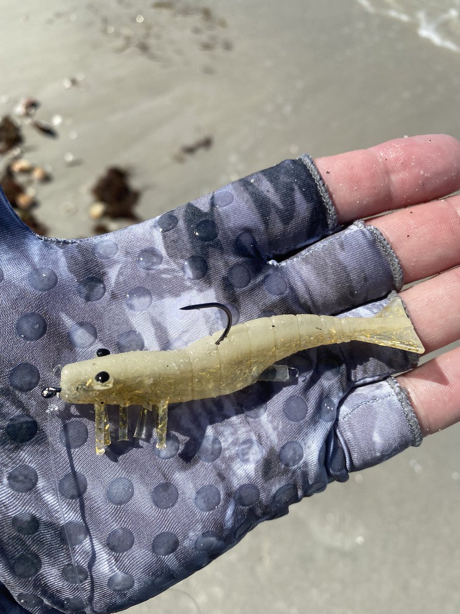 beachsnooker's tweet photo. Birthday ๐ฅณ Beach Snook Fishing ๐ฃ๐๐๐ป #doalures #beachsnook #beachsnookfishing #beachsnooker #doashrimp @doaluresusa @RaysBaseball @austin_meadows @YETICoolers @AftcoFishing https://t.co/k317z8CR35