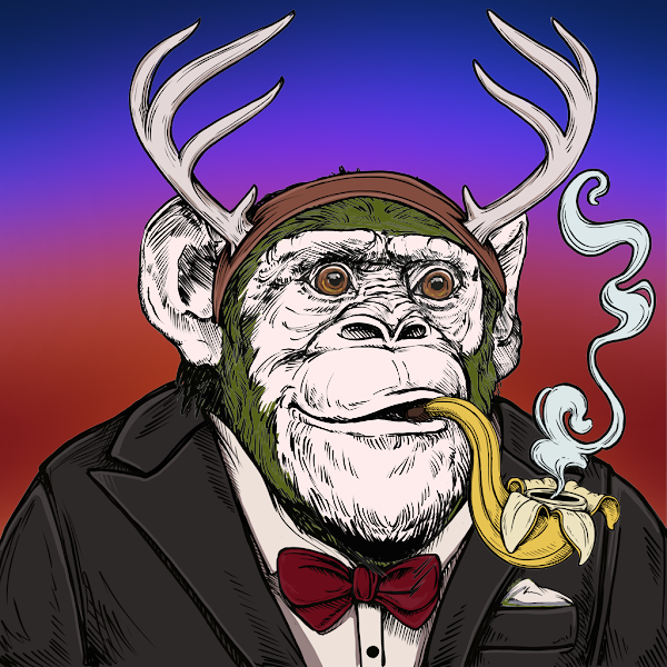 BlueArara $NFT :) Artist and Collector tweet media