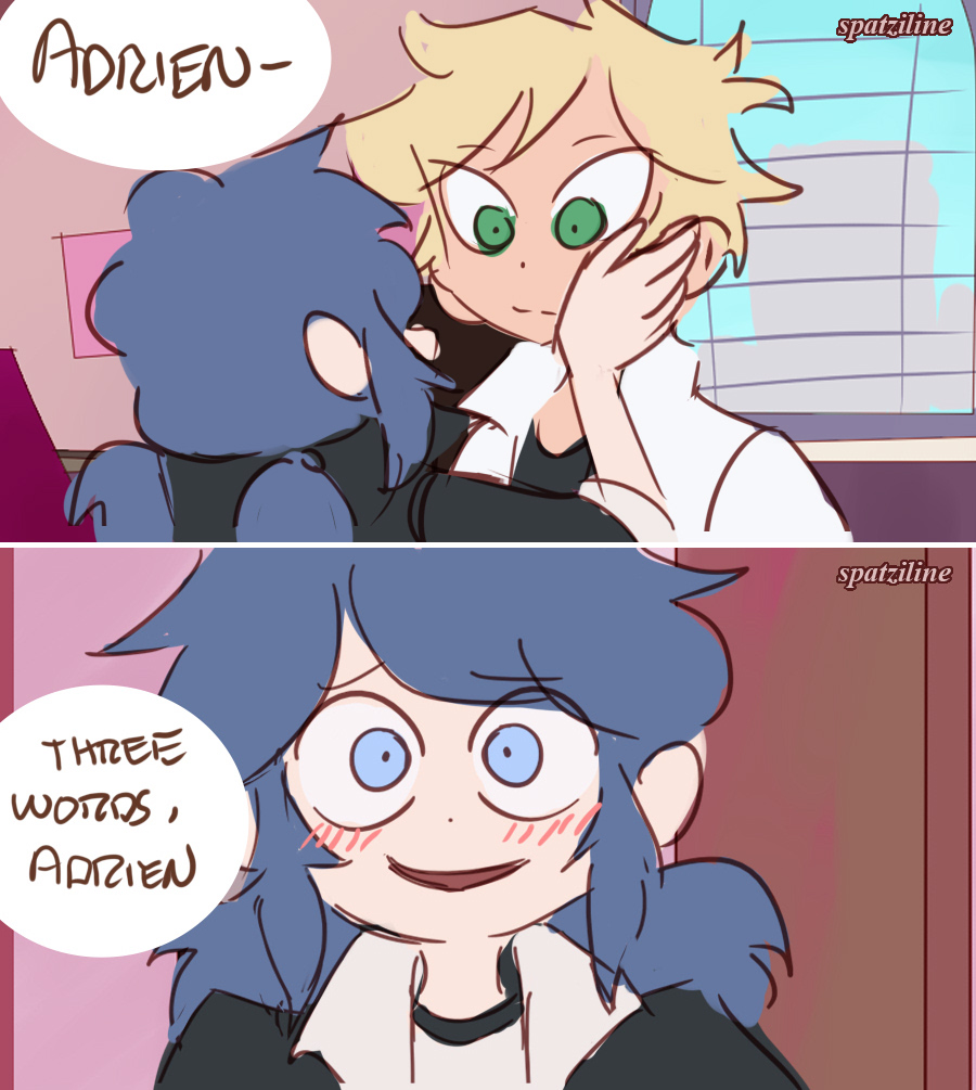 Three words (Incorrect quote) #MiraculousLadybug #Adrienette 