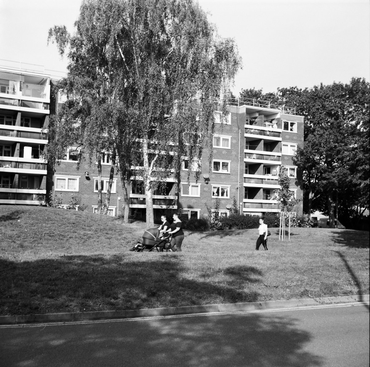 FlyerYogic's tweet photo. North Cambridge - Zeiss Ikon Nettar, FP4 https://t.co/y4RklFs0wb