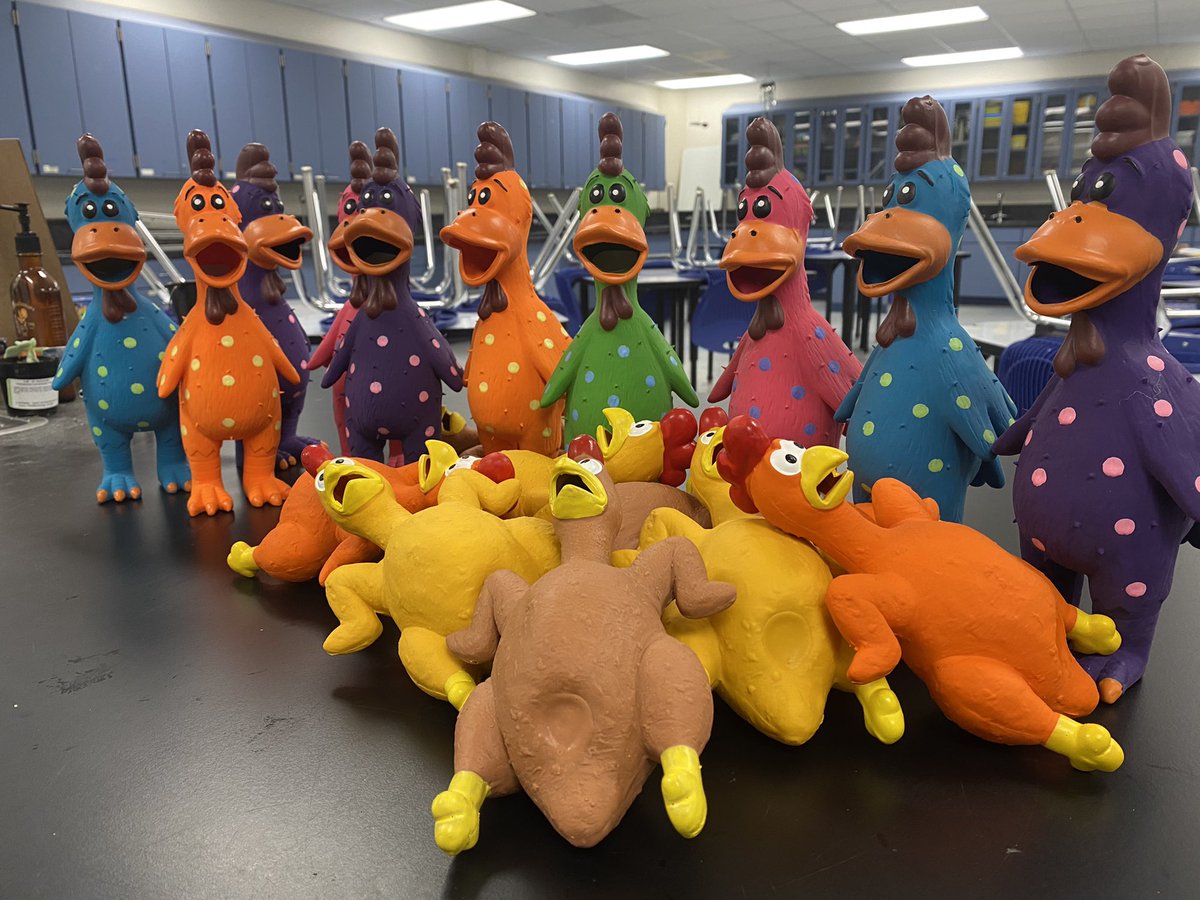 TraceySchalnat's tweet photo. Chucking chickens in AP Physics today!! Challenge: Who can throw a chicken with an initial velocity closest to 3m/s off the bleachers. A problem with several unknowns #euhsd #iteachphysics @SanPasqualHS https://t.co/IBqdvKhFDv