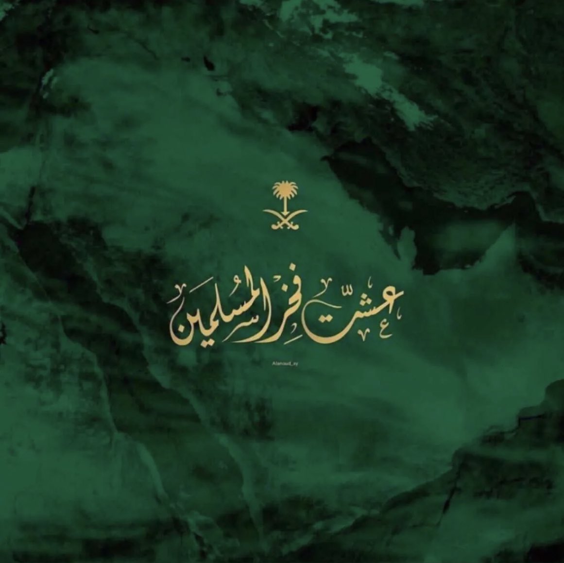 AmalAltowerqi's tweet photo. 🇸🇦🤍🇸🇦🤍 https://t.co/cev97BzPRd