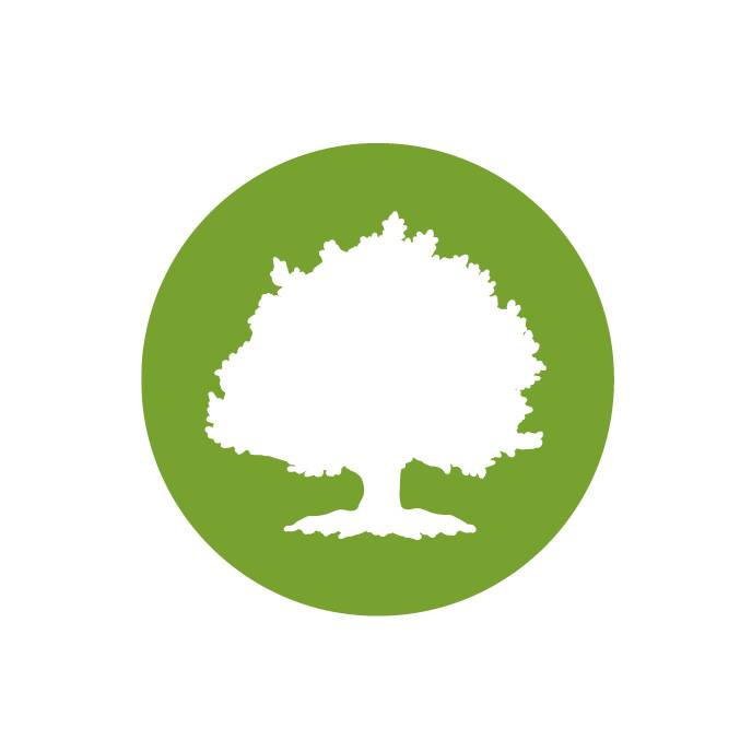 Congratulations to our partner <a href="/OakStreetHealth/">Oak Street Health</a>  for being the only <a href="/AARP/">AARP</a>  approved primary care practice! 

Learn more about what this partnership means here: bwnews.pr/3o248lN