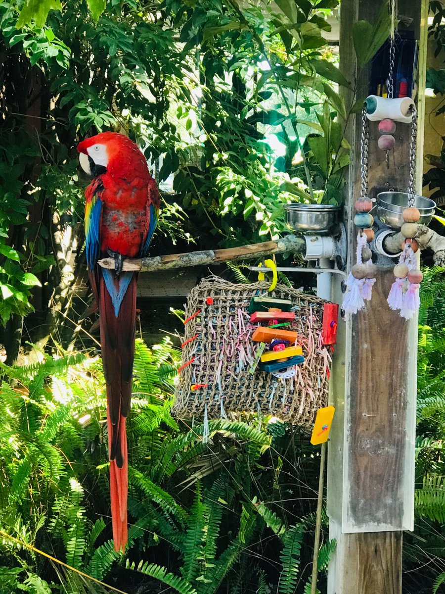 PhilDiederich's tweet photo. Top 10 outdoor activities for Sarasota, Florida– Viva Fifty! https://t.co/uXFD10EsFV https://t.co/VbLAkCOcCn