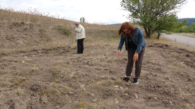 cankiri_iktm's tweet photo. Çankırı'nın Eldivan ilçesinde, höyük ile ilgili yapılan yüzey araştırmasında, antik Yunan ve Roma dönemlerine ait buluntulara rastlandığını belirtildi.
#eldivan #höyük #buluntu #cankiri #cankirikulturturizm @karatekinUni https://t.co/nU8dj0lzEh