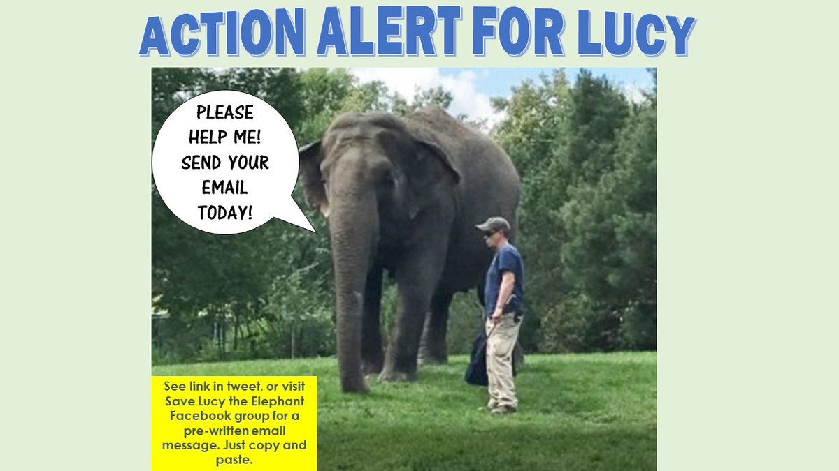 Tell @JustinTrudeau & @cafreeland no gov't subsidies to @CAZA_AZAC for #EdmontonValleyZoo when they refused money-saving offers of a FREE EXPERT VET ASSESSMENT and sanctuary for Lucy from @ftwglobal & @ZoocheckCanada. Copy & paste email: sites.google.com/view/freelucy/… #FreeLucy #yeg