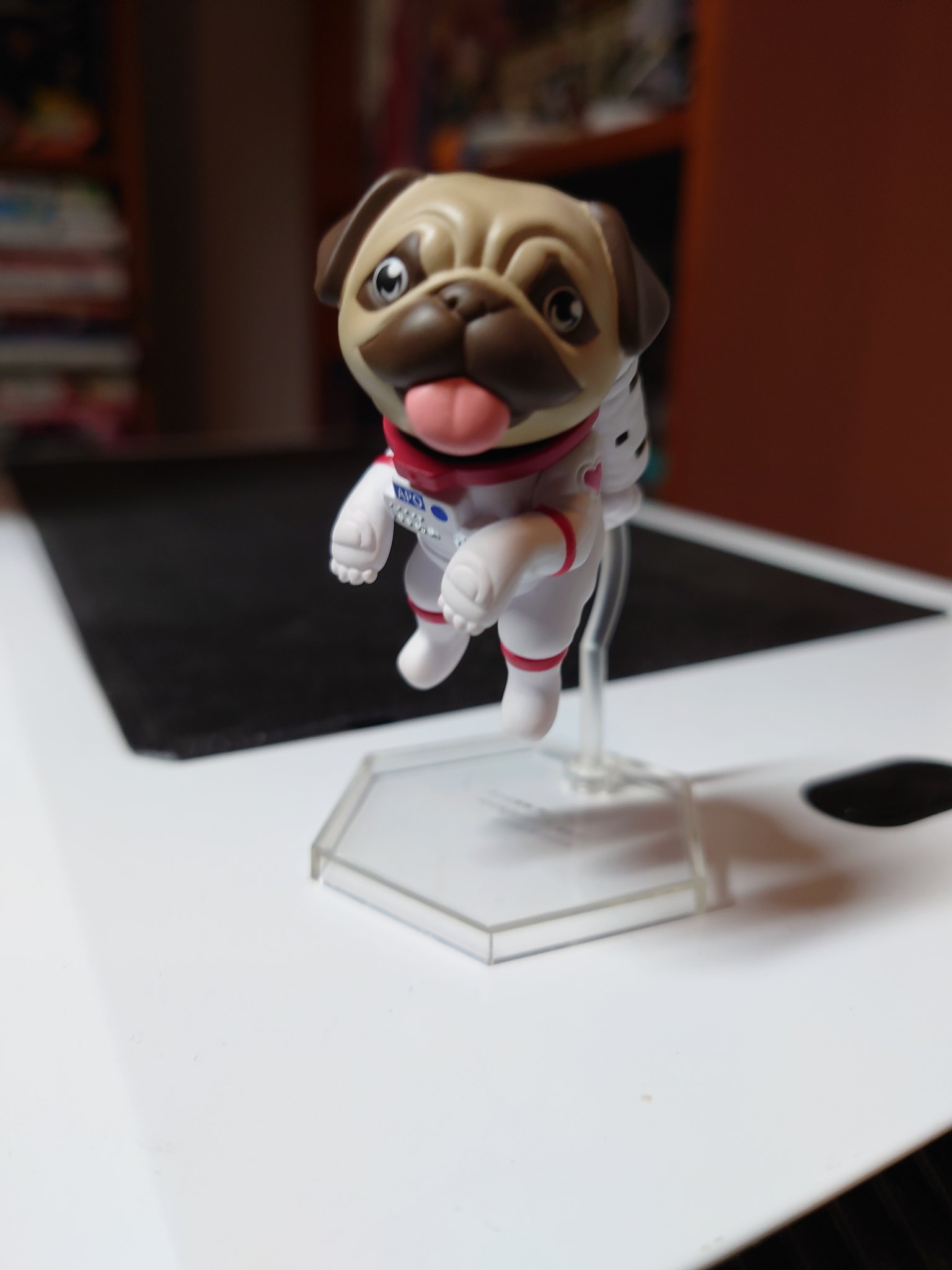 Lysanne1 On Twitch Got Me A Lil Best Boy In The Mail Today 宇宙兄弟https T Co Xqhwaqmbna Twitter Lysanne1 On Twitch Got Me A Lil Best Boy In The Mail Today 宇宙兄弟https T Co Xqhwaqmbna Twitter
