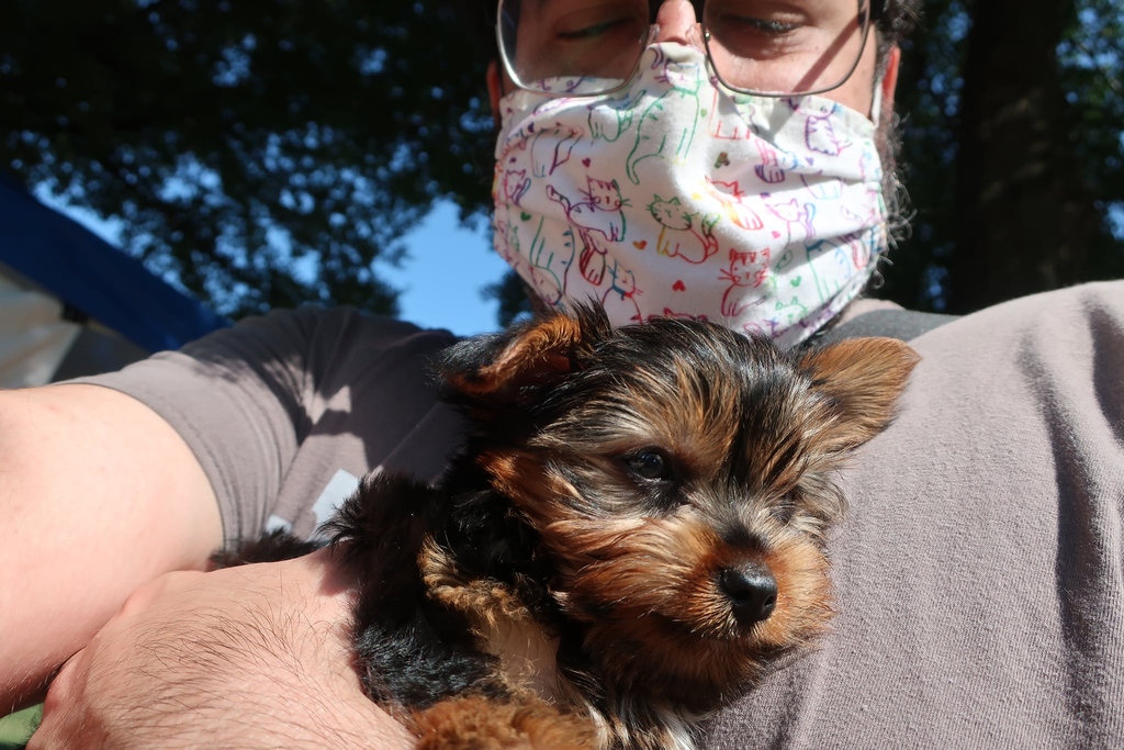 prckcmo's tweet photo. With the support of incredible partners like @HillsPet our outreach team is taking our mobile units into underserved communities to make sure families can get their pets vaccinated against disease and that they have plenty of food to eat. #Hillspartner https://t.co/GwJX2d4P1w