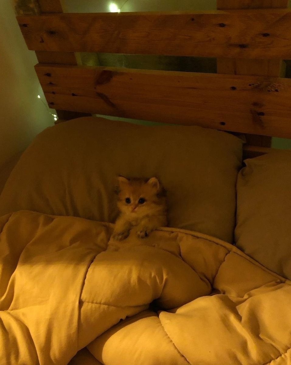 ben öyle çok kafaya takmam ya