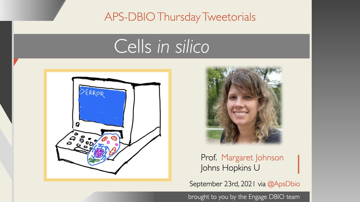 Welcome to #DBIOTweetorial! Your host today, Maggie Johnson <a href="/Mejohnson81/">Margaret Johnson</a>. Let's go!