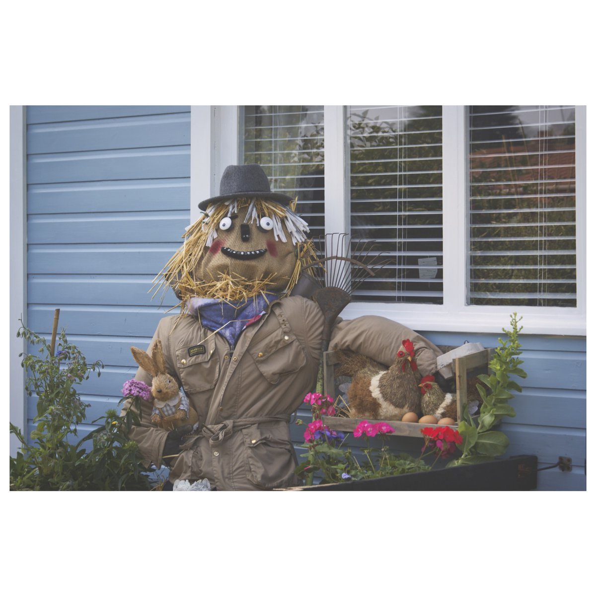 Seagull Swamp tweet media