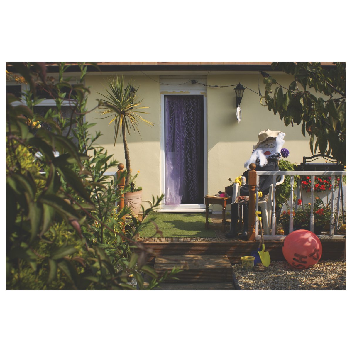 Seagull Swamp tweet media