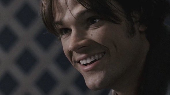 sam’s nose (@dailysamnose) on Twitter photo 