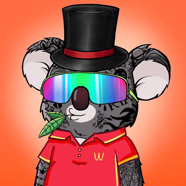 cryptoNftsonly's tweet photo. @NFTElfo @KoalaAgencyNFT 😎😎 https://t.co/mLSDx4yn8e