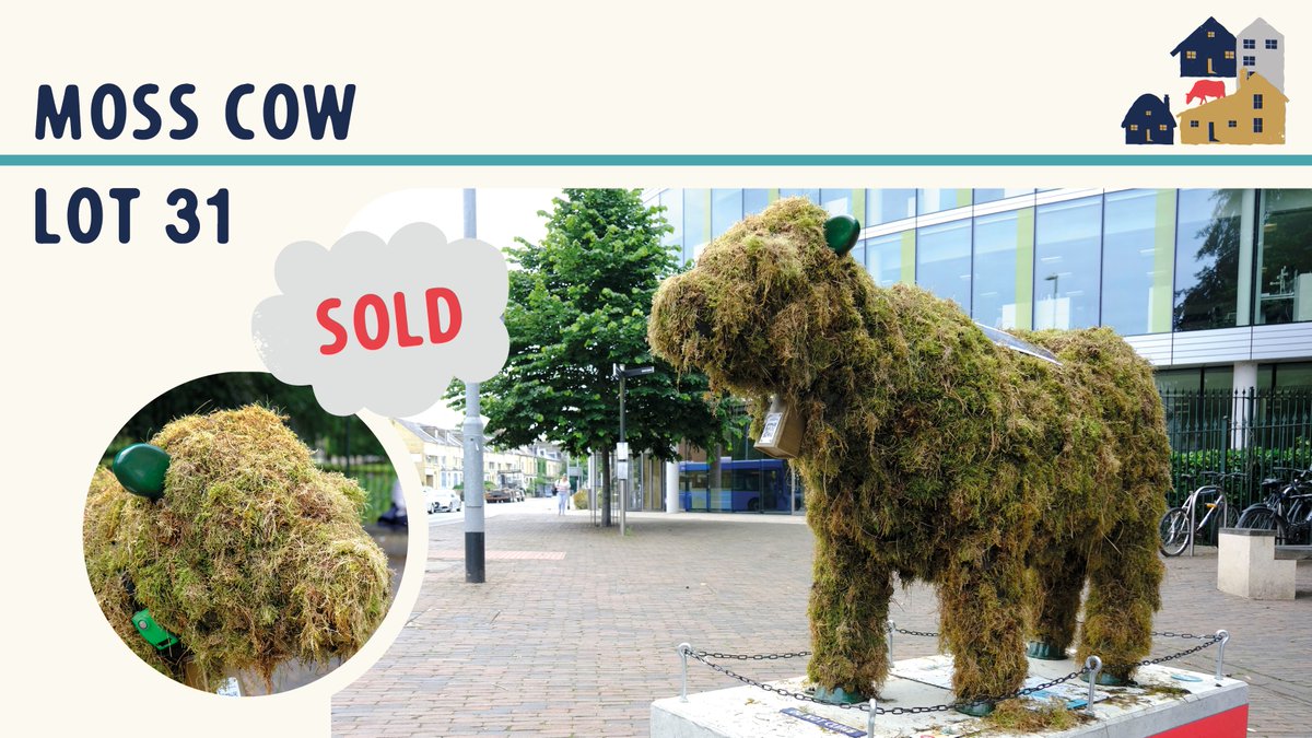 BreakTrailCambs's tweet photo. This shaggy delight has spent weeks measuring air quality out on the city streets! @Mosscow, LOT 31 of the auction, raises £4,500. The sculpture was created by @ChrisPointon and sponsored by @Stagecoach_East. We love the Care Kit! Thank You! https://t.co/uSSAfsEuaO
