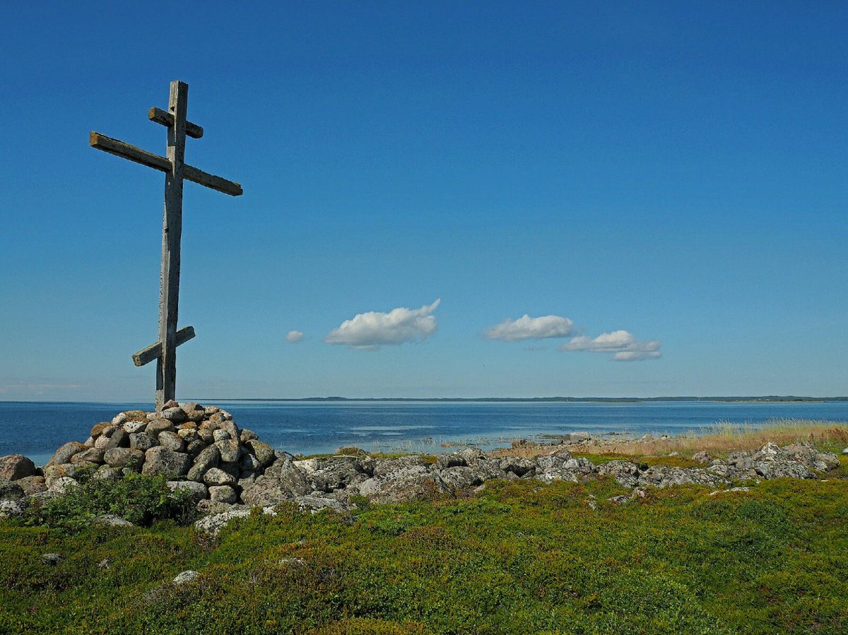 Соловки заяц. Соловки заяц. Дубна острова на московском море. Остров б. Остров б.